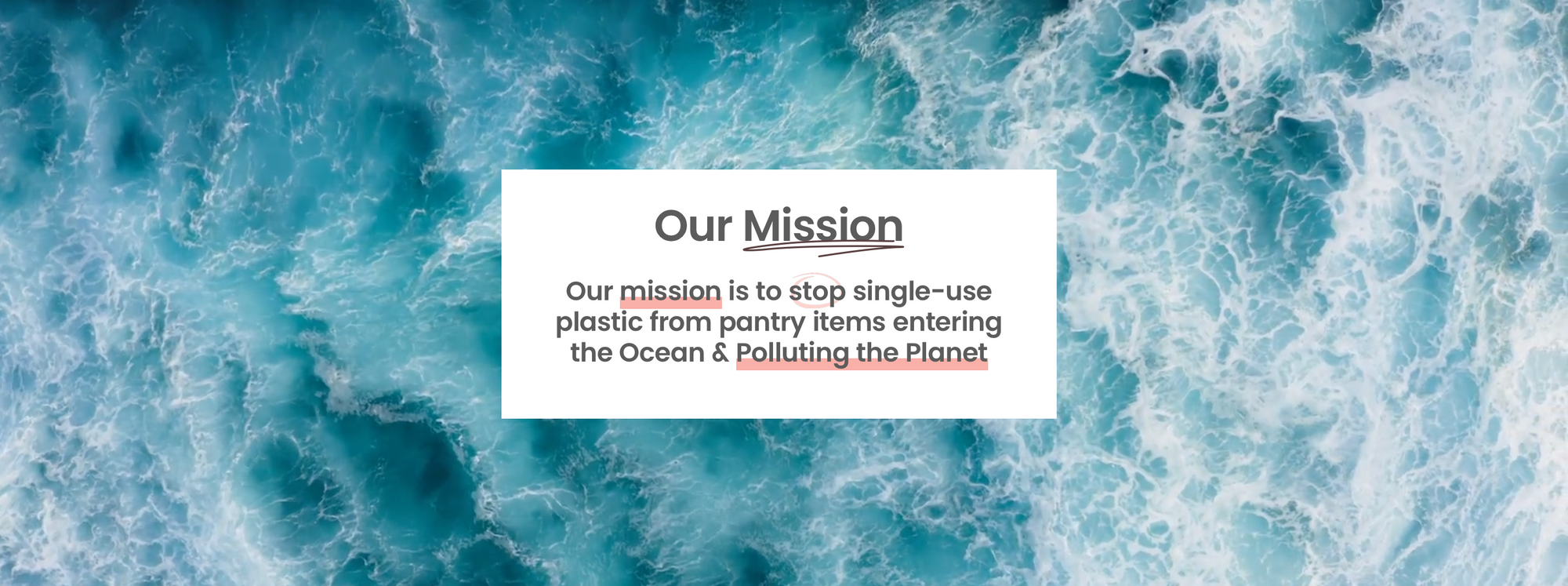 Unveiling Our collective August Impact: Saving 7,971 Plastic Bags and its Environmental Equivalent