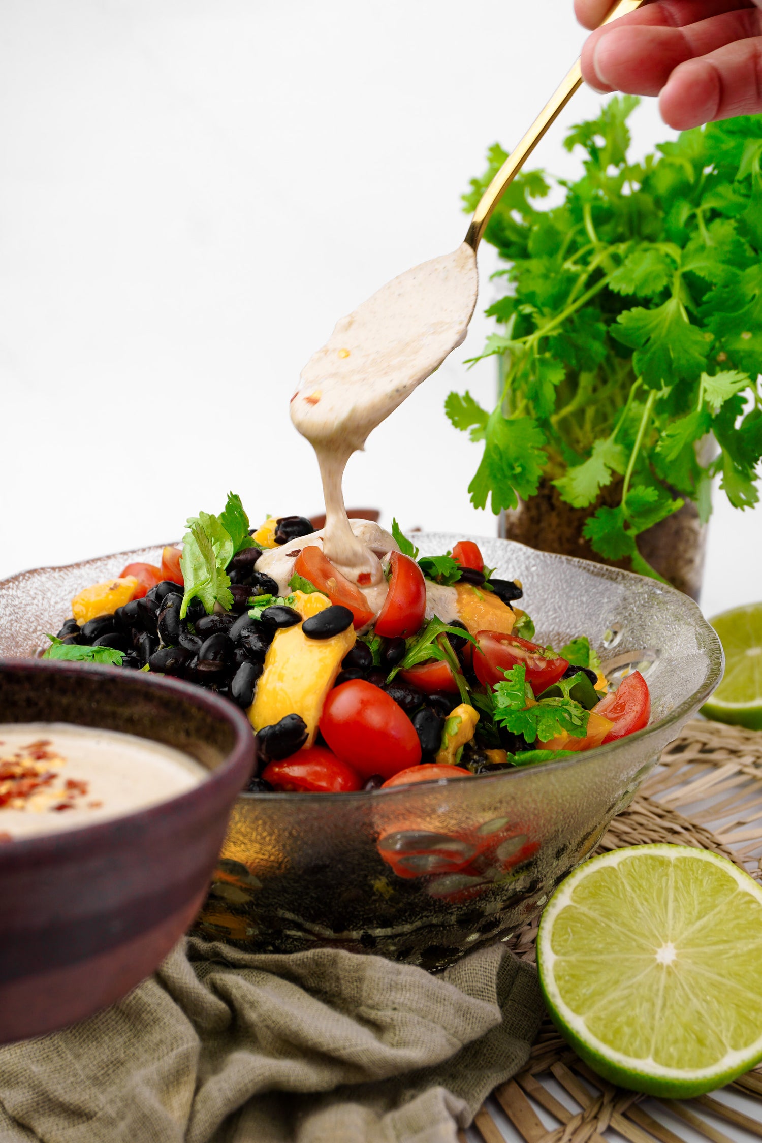 Black Bean and Mango Salad with a Lime and Chilli Dressing