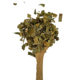 Soursop Tea