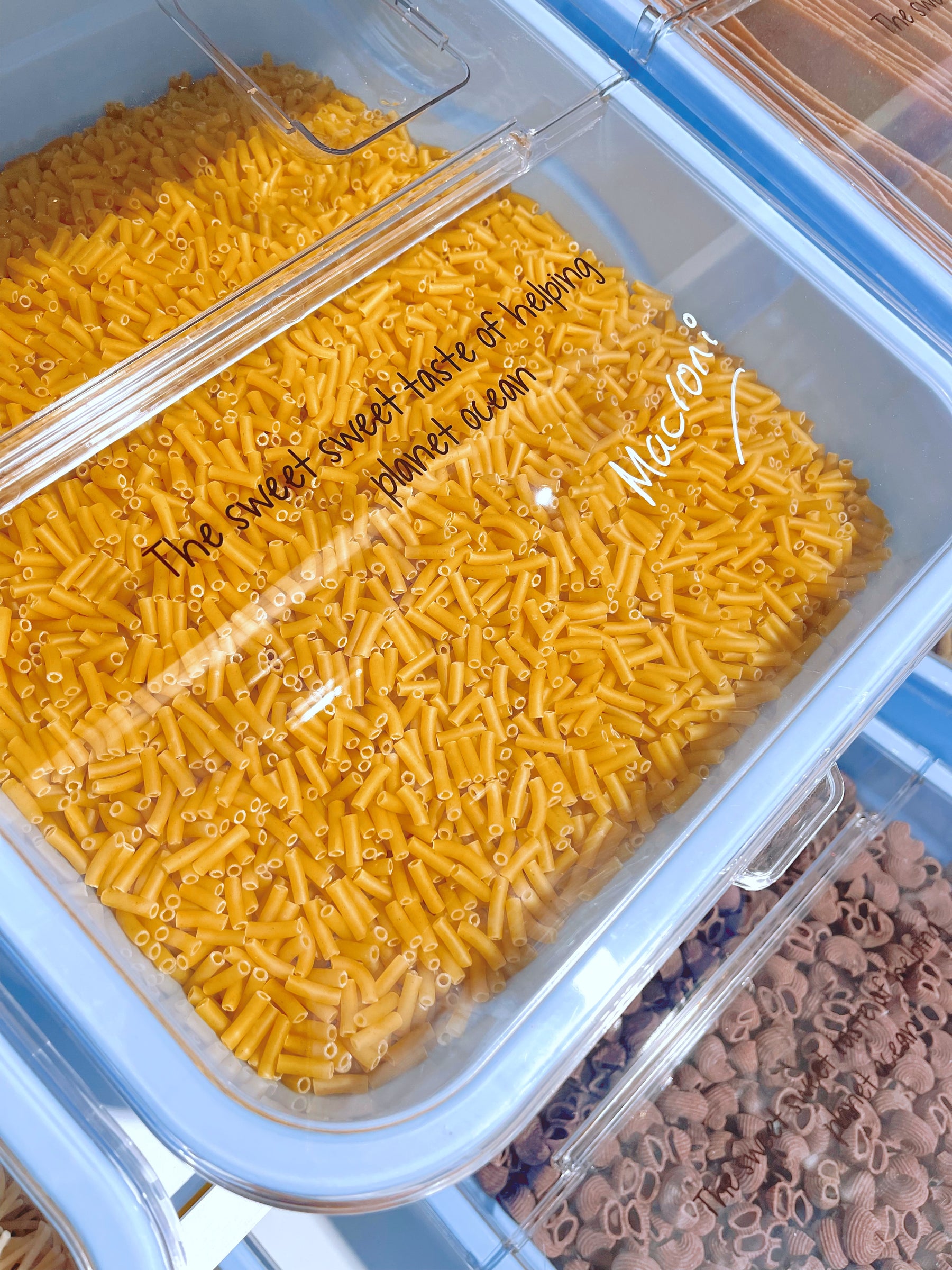 MACARONI PASTA